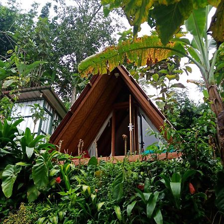 Bed and Breakfast Eco Bedugul Adventurer Camp Екстер'єр фото