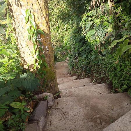Bed and Breakfast Eco Bedugul Adventurer Camp Екстер'єр фото