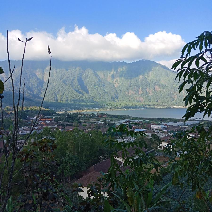 Bed and Breakfast Eco Bedugul Adventurer Camp Екстер'єр фото