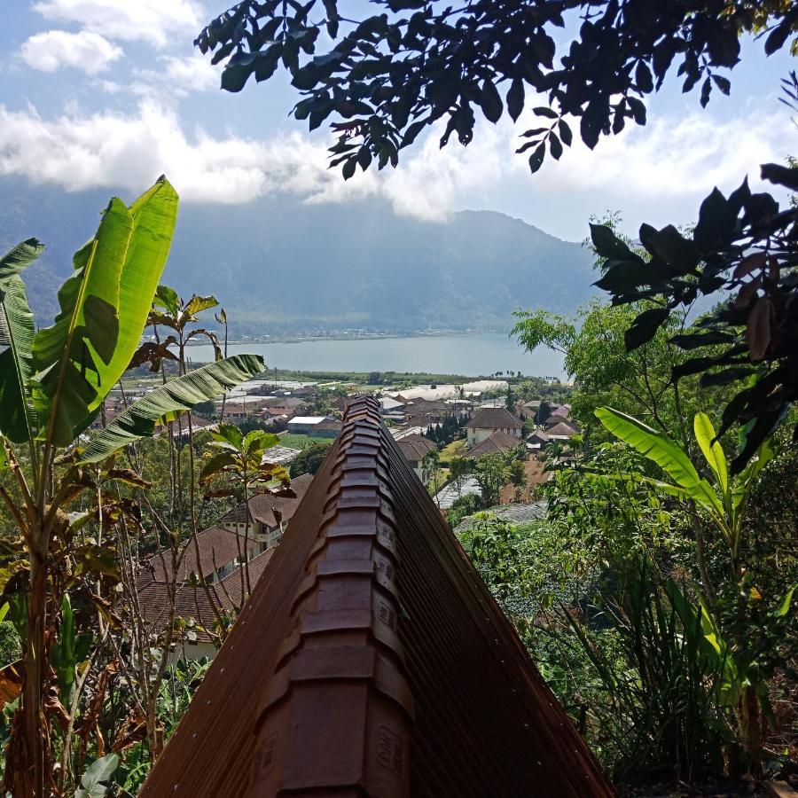 Bed and Breakfast Eco Bedugul Adventurer Camp Екстер'єр фото