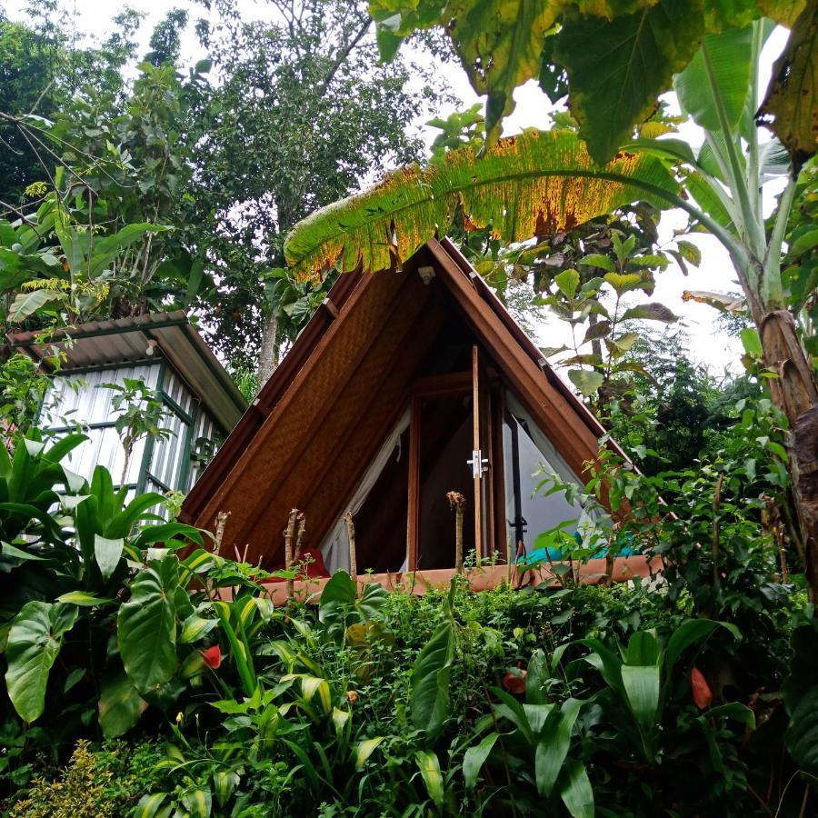 Bed and Breakfast Eco Bedugul Adventurer Camp Екстер'єр фото