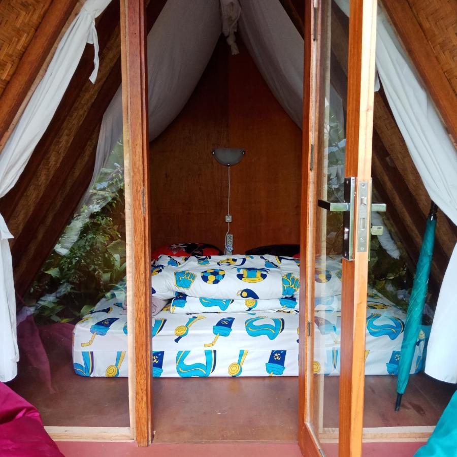 Bed and Breakfast Eco Bedugul Adventurer Camp Екстер'єр фото
