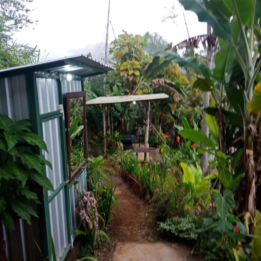 Bed and Breakfast Eco Bedugul Adventurer Camp Екстер'єр фото