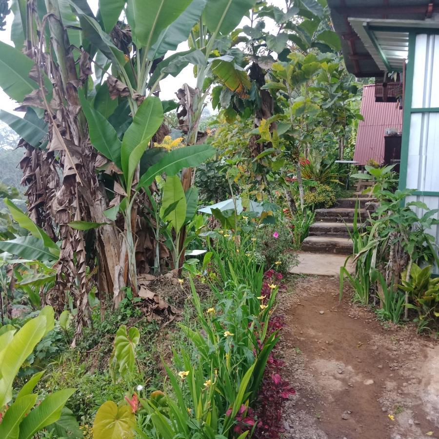 Bed and Breakfast Eco Bedugul Adventurer Camp Екстер'єр фото