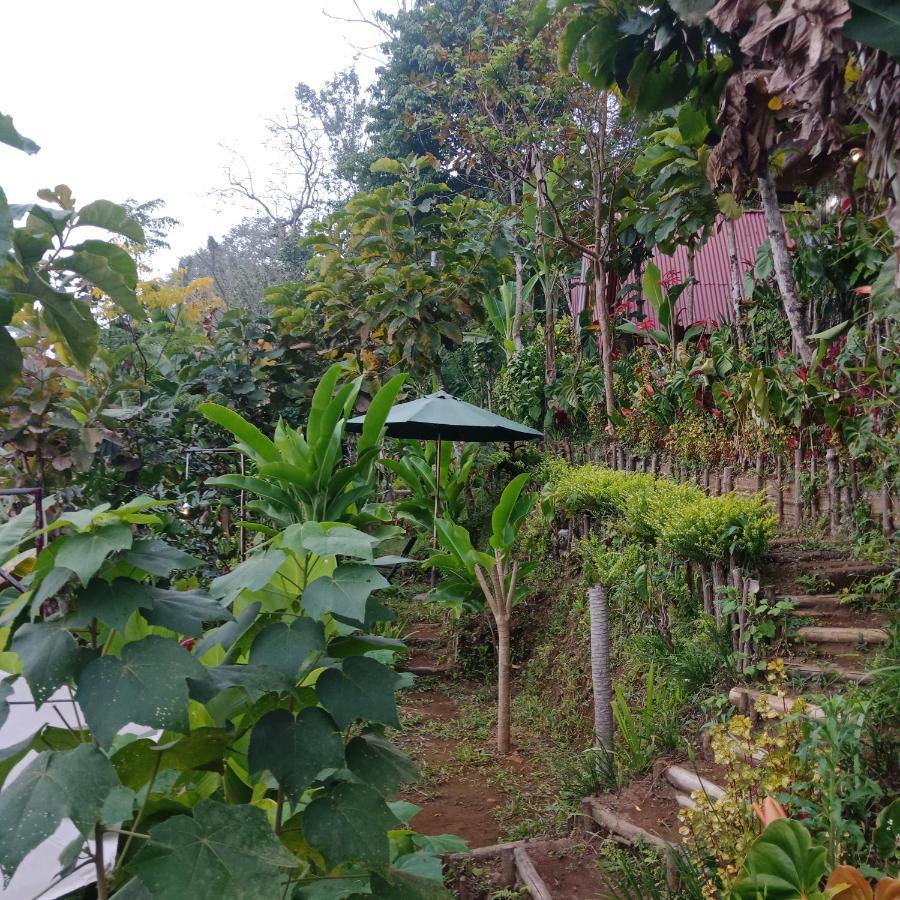 Bed and Breakfast Eco Bedugul Adventurer Camp Екстер'єр фото
