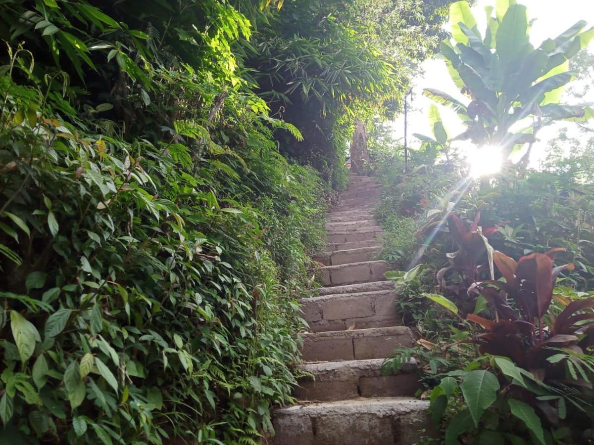 Bed and Breakfast Eco Bedugul Adventurer Camp Екстер'єр фото